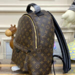 Louis Vuitton Palm Springs MM M44874 Brown